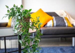Brand New One/Two - Bed Room Apartment @ Maribyrnong