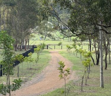 Allandale House | Acreage home on Lovedale Rd with EV and private vineyard