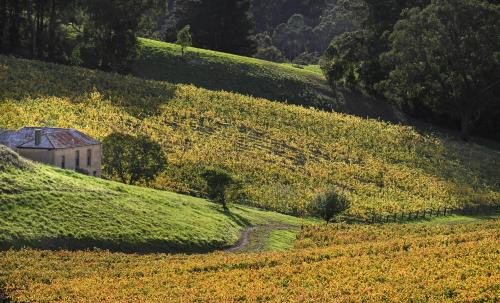 Summertown Villa | Adelaide Hills luxe-cottage with spectacular vineyard views