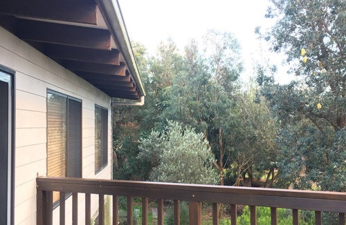 Sandy Point House | Amongst the trees, and by the Beach
