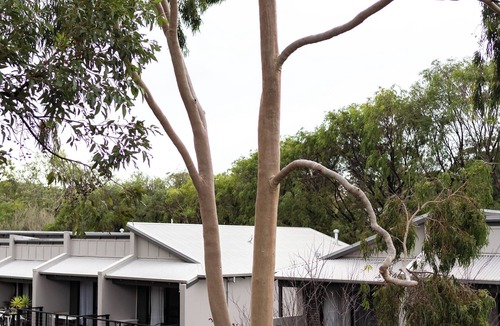 Margaret River Apartment | At Forest Stay | Margaret River
