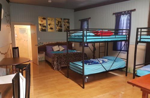 Batchelor Hotel | Batchelor Funny Bunny Farm