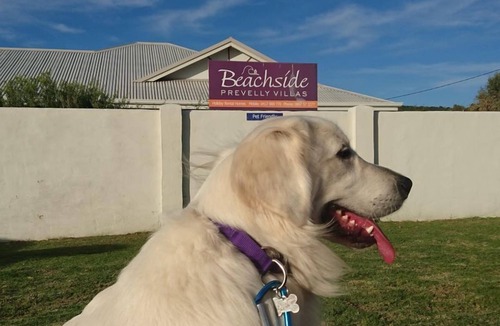 Prevelly House | Beachside Prevelly Villas -Margaret River pet friendly beach house accommodation
