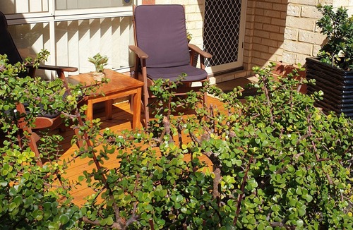 Rockingham Villa | Beachside Retreat Rockingham
