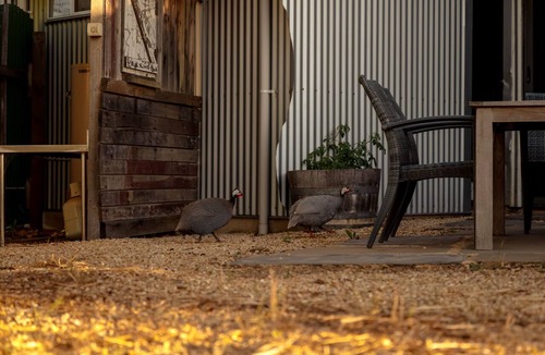 Upper Wakefield Villa | Bed In A Shed Suite – Intimate Artisan Stay