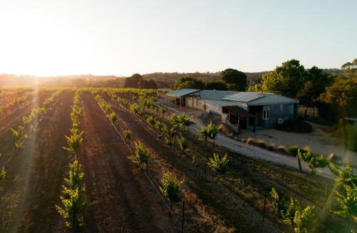 Upper Wakefield Bed & Breakfast | Bed in a Shed Vineyard Stay