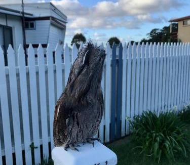 Kelso Resort | BIG4 Kelso Sands Holiday & Native Wildlife Park