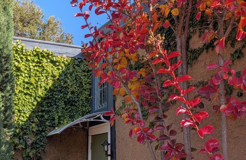 Lockington Cottage | Birds of a Feather Lockington