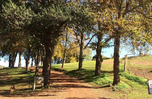 Balingup Cottage | Birdwood Park Estate Farm Stay