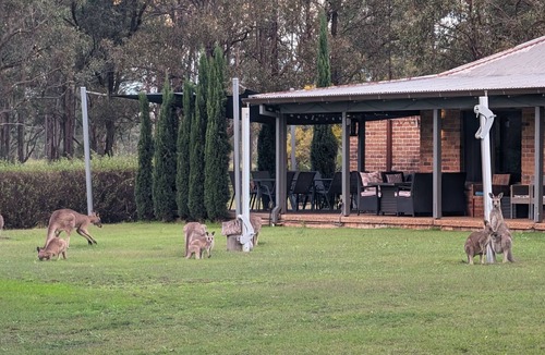 Pokolbin House | Blaxlands Kangaroo Homestead with Hot Tub walk to Concerts and Wineries