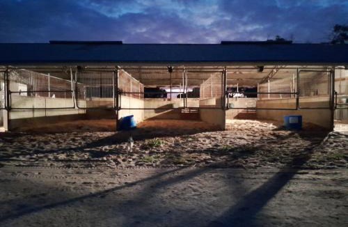 Tatiara House | Bordertown Tiny House Accomodation and Agistment