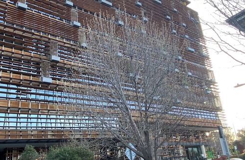 City West Apartment | Boutique Canberra Stay | Balcony + Desk