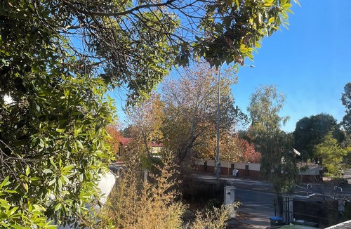 Kings Park Apartment | Bright Retreat in Westbourne Park