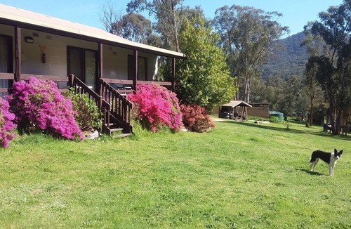 Jamieson Cabin | Cabin 3-Emerald Park