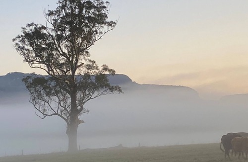 Kangaroo Valley Cabin | Cabin 4