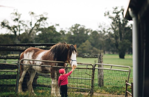 Cundinup Cottage | Cambray Cottages Nannup - Bush Cottage