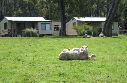 Cundinup Cottage | Cambray Cottages Nannup - Farm Cottage