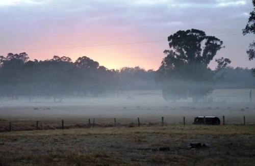 Cundinup Cottage | Cambray Cottages Nannup - Farm Cottage