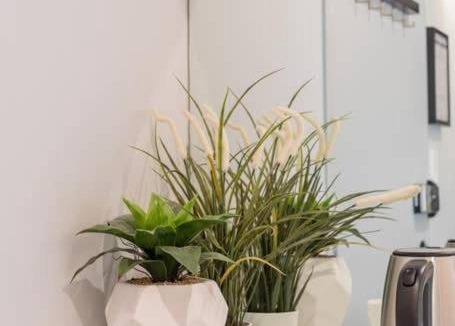 Surry Hills House | Chic Double Room with AC - Centrally Located of SYD - Near Central Station - Shared Bathroom