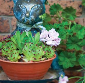 Clifton Grove Bed & Breakfast | Clifton Gardens Bed & Breakfast - Orange