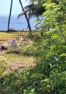 Perth Central Business District House | Coconut Cottage Christmas Island