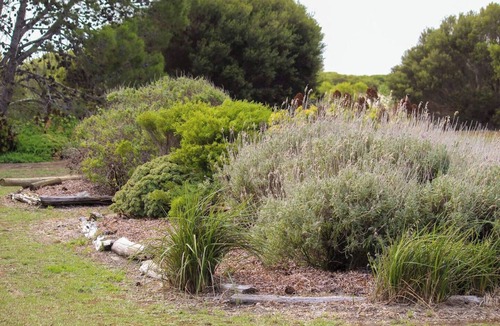 Nangkita House | COOROONG | FLEURIEU | HINDMARSH ISLAND - Secluded oasis