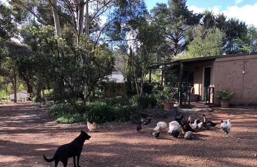 Bridgetown Cabin | Country Cottages of Bridgetown