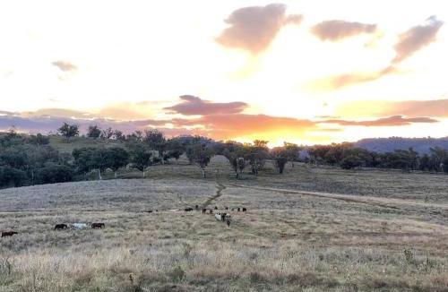 Timor House | Country guesthouse on large cattle station
