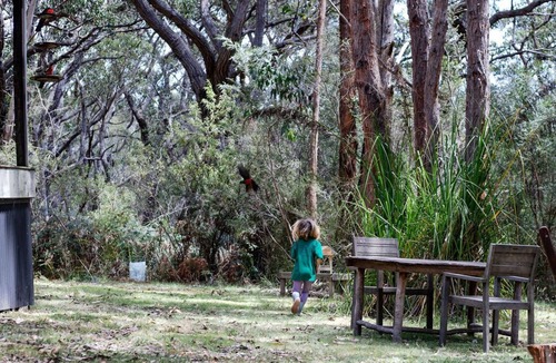 Hordern Vale Cabin | Cozy cabin in the Otway National Park