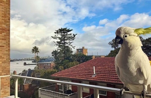 Kirribilli Apartment | Cozy Kirribilli Studio with Sydney city and water views.