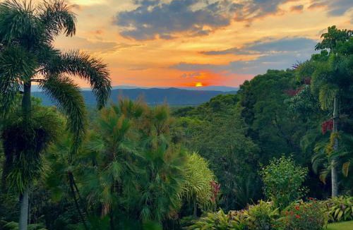 Forest Creek Bed & Breakfast | Daintree Manor B&B