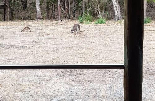 Yallingup House | Delaros Bush Retreat on 9 acres with Winter Stream and Dam