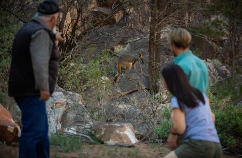 Wilpena Hotel | Discovery Resorts - Wilpena Pound