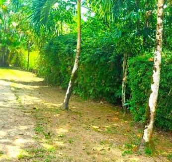 Les Hattes House | Dolce Vita Kreyol