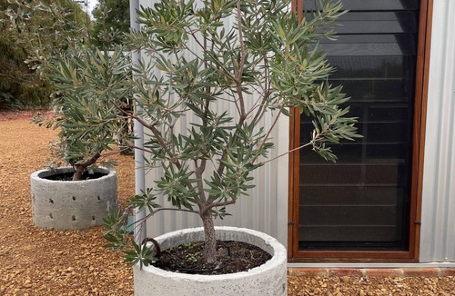 Margaret River House | “Dwell At Wilderness” fabulous industrial farmhouse/holiday home