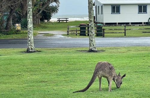 Brooms Head Apartment | Family & Couples Beachside Stay Ocean Glimpses 2 mins walk to the beach
