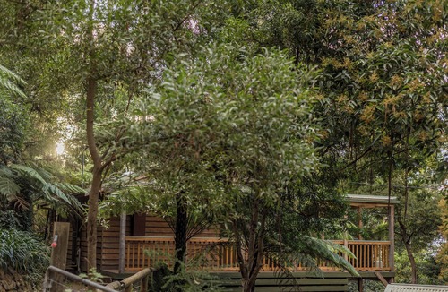 Wye River House | Fern House - bush by beach @ wye river
