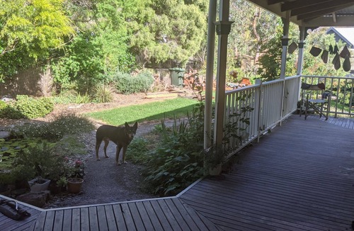 Aireys Inlet House | Foxhouse in beautiful Fairhaven