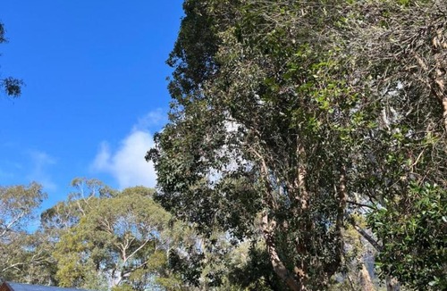 Halls Gap House | Froggys Quarters Cabin 8 Possum