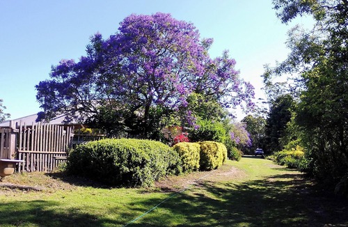 Elands Cottage | Frogmouth Farm is your 'rural, remote' pet-friendly escape to solitude!