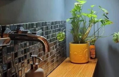 Repton Cabin | Funky Cabin in the Rainforest
