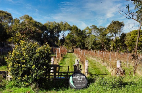 Gisborne House | Gisborne Peak BlueGum Guest House