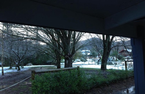 Marysville Hotel | Goldberryaccommodation