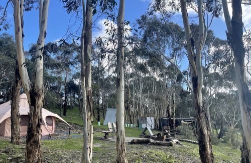 Torrens Vale RV Rental | Gorgeous Bell Tent Ideal for a Glamping Getaway in Inman Valley, South Australia