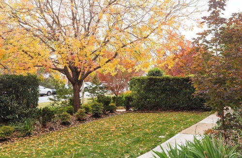 Campbell Apartment | Gorgeous studio apartment next to Campbell shops in the heart of Inner North CBR