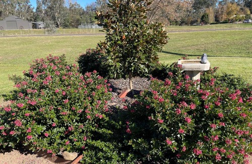Myrtleford Apartment | Guinevere 2