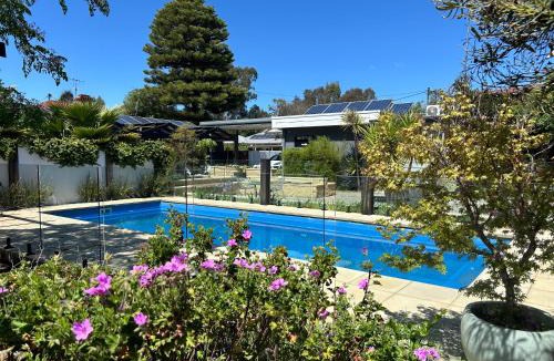 White Hills Hotel | Happy Wanderer Motel Bendigo CHILDREN NOT PERMITTED over 18s only