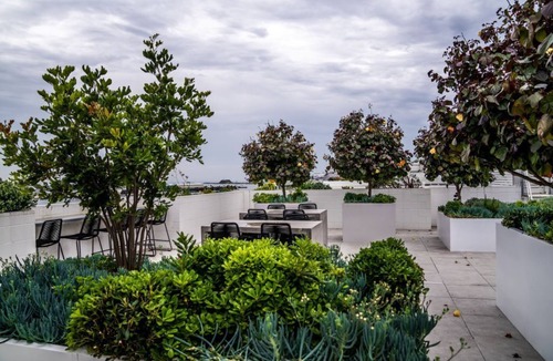 Wickham Apartment | Harbour Haven - Honeysuckle Newcastle