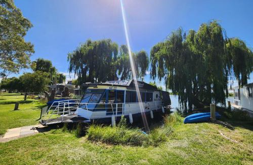 White Sands Boat Rental | Hasta La Vista river cruiser
