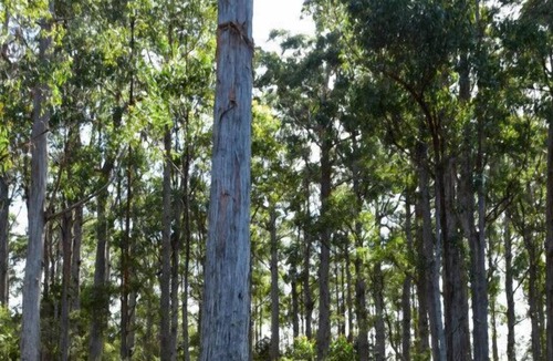 Southport Cabin | Hastings Bay Retreat